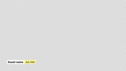 Lower Third — Company Theme
